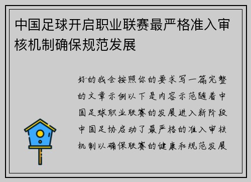 中国足球开启职业联赛最严格准入审核机制确保规范发展